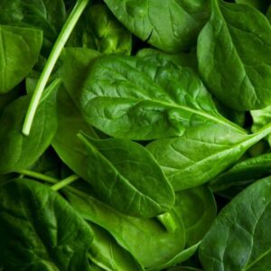 ESPINACAS