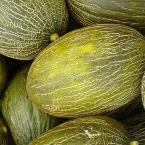 MELÓN PIEL DE SAPO