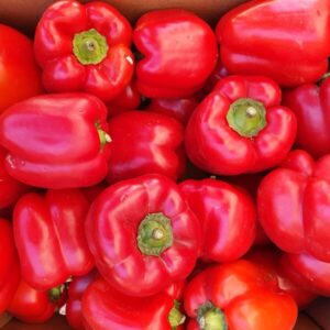 PIMIENTOS CALIFORNIA ROJOS